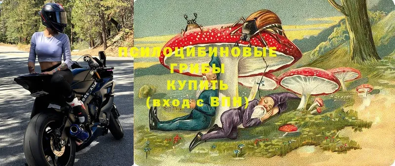 Псилоцибиновые грибы Cubensis  ссылка на мегу рабочий сайт  Алексеевка  даркнет сайт 